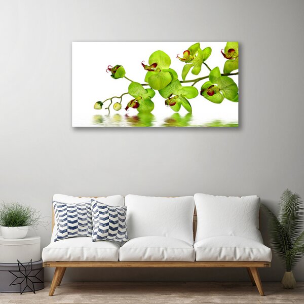 Quadro su tela Fiori, piante, natura 100x50 cm