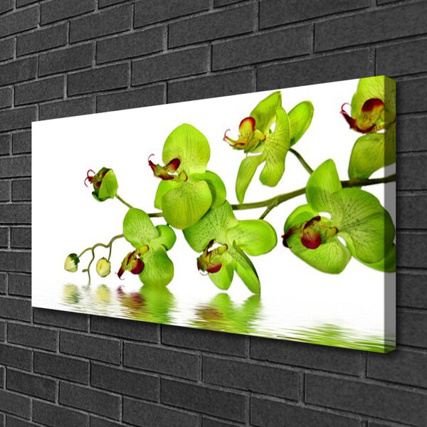 Quadro su tela Fiori, piante, natura 100x50 cm