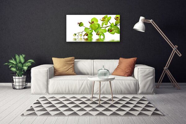 Quadro su tela Fiori, piante, natura 100x50 cm