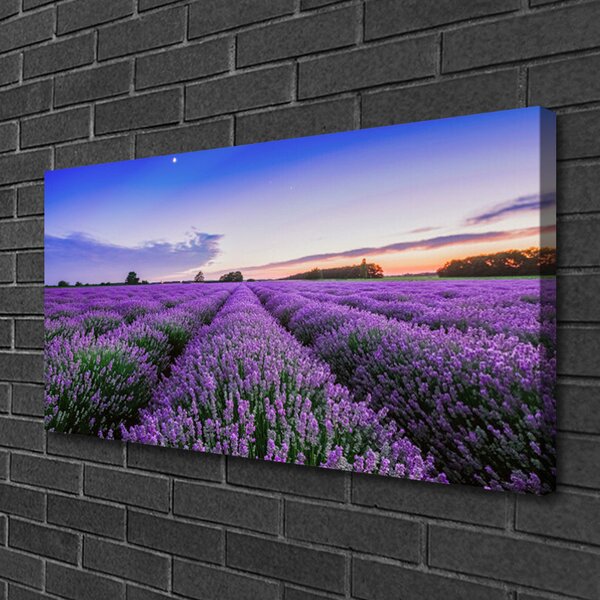 Quadro su tela Prato, fiori, natura 100x50 cm