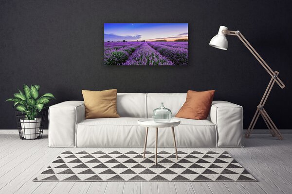 Quadro su tela Prato, fiori, natura 100x50 cm