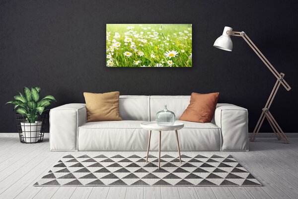 Quadro su tela Prato Daisy Natura 100x50 cm