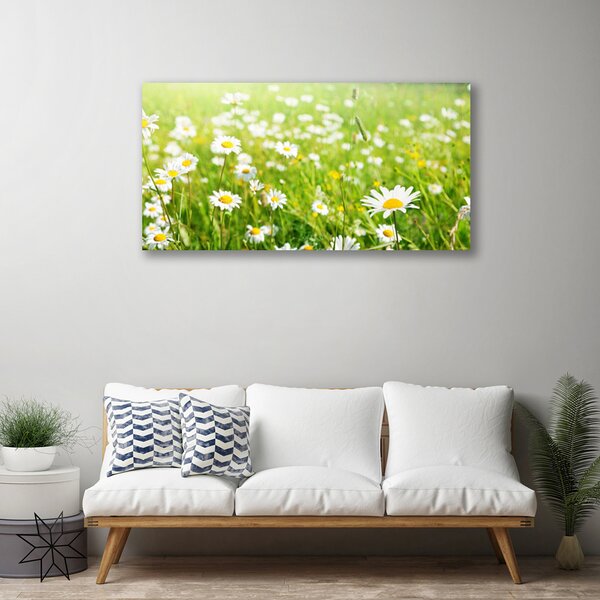 Quadro su tela Prato Daisy Natura 100x50 cm