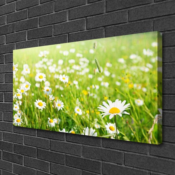 Quadro su tela Prato Daisy Natura 100x50 cm