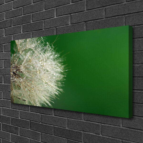 Quadro su tela Pianta di tarassaco 100x50 cm