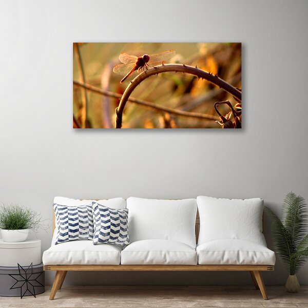 Quadro su tela Libellula Natura 100x50 cm