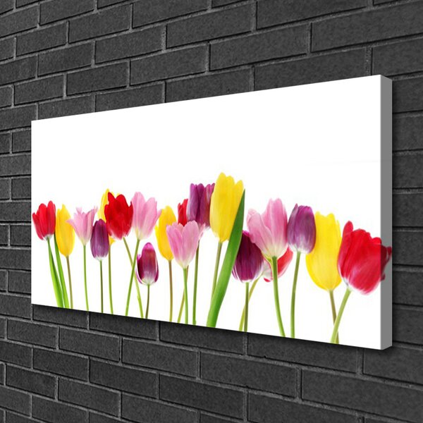 Quadro su tela Tulipani, fiori, piante 100x50 cm
