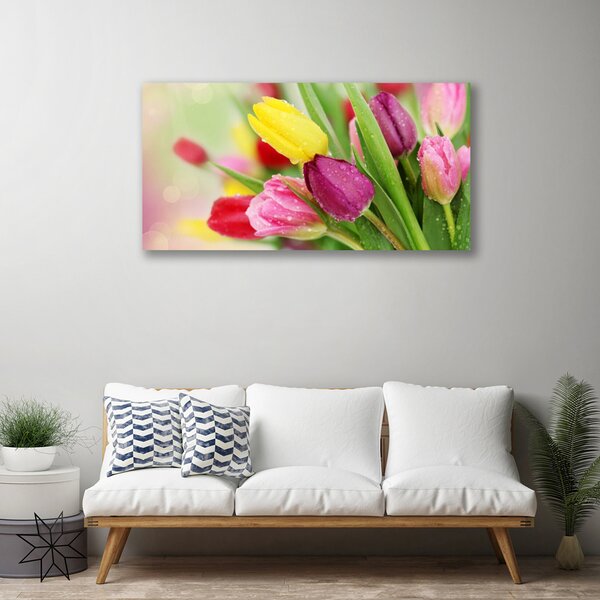 Quadro su tela Tulipani, fiori, piante 100x50 cm