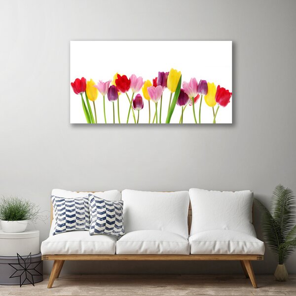 Quadro su tela Tulipani, fiori, piante 100x50 cm