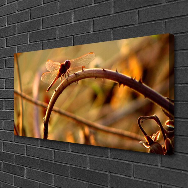 Quadro su tela Libellula Natura 100x50 cm