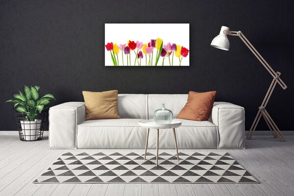 Quadro su tela Tulipani, fiori, piante 100x50 cm