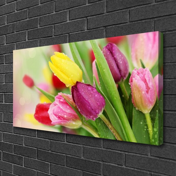 Quadro su tela Tulipani, fiori, piante 100x50 cm