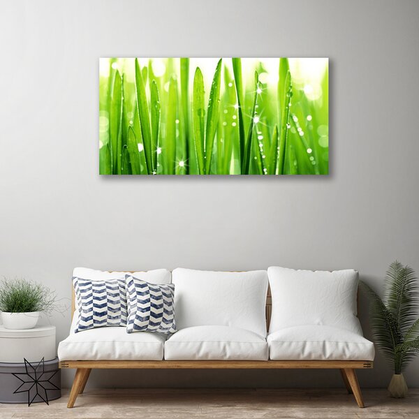 Stampa quadro su tela Erba, piante, natura 100x50 cm