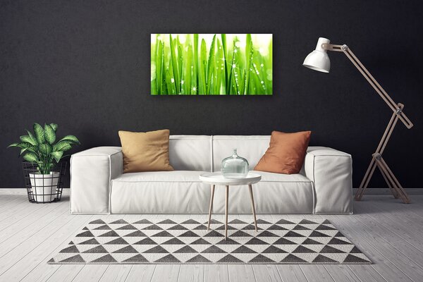 Stampa quadro su tela Erba, piante, natura 100x50 cm