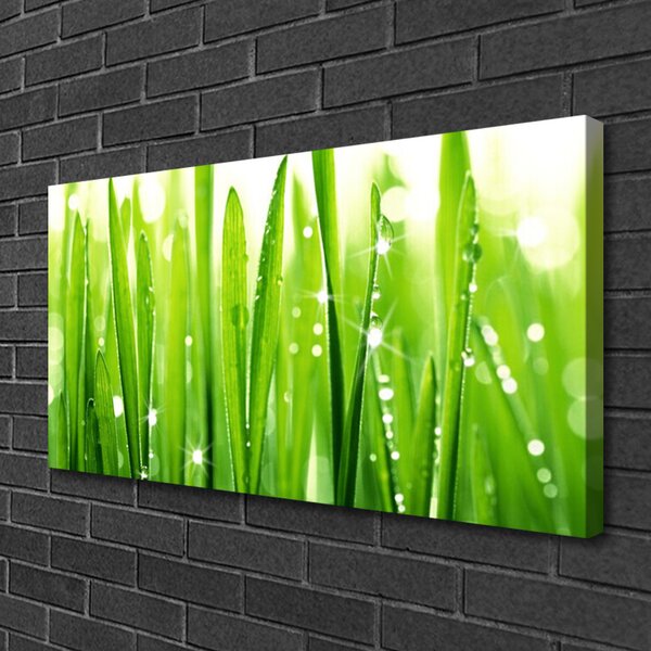 Stampa quadro su tela Erba, piante, natura 100x50 cm