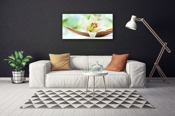 Quadro stampa su tela Fiore, pianta, natura 100x50 cm