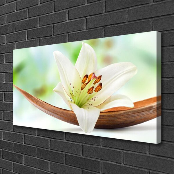 Quadro stampa su tela Fiore, pianta, natura 100x50 cm