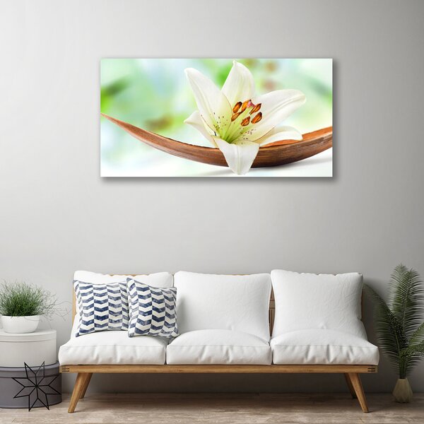Quadro stampa su tela Fiore, pianta, natura 100x50 cm