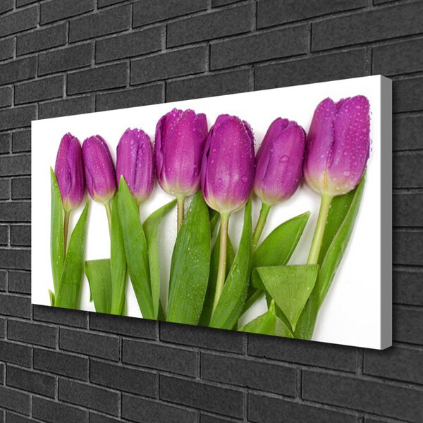 Quadro su tela Tulipani, fiori, piante 100x50 cm