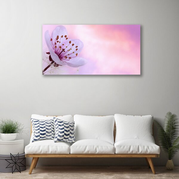 Quadro su tela Fiore, pianta, natura 100x50 cm