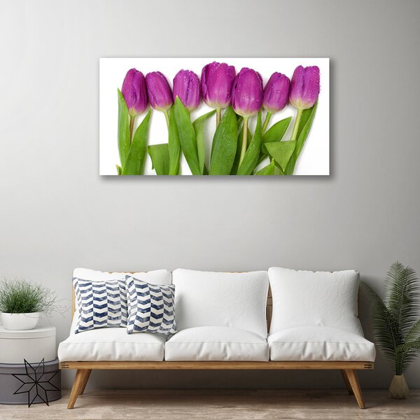 Quadro su tela Tulipani, fiori, piante 100x50 cm