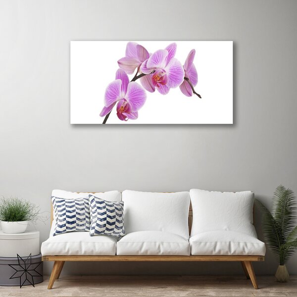 Quadro su tela Fiori, piante, natura 100x50 cm