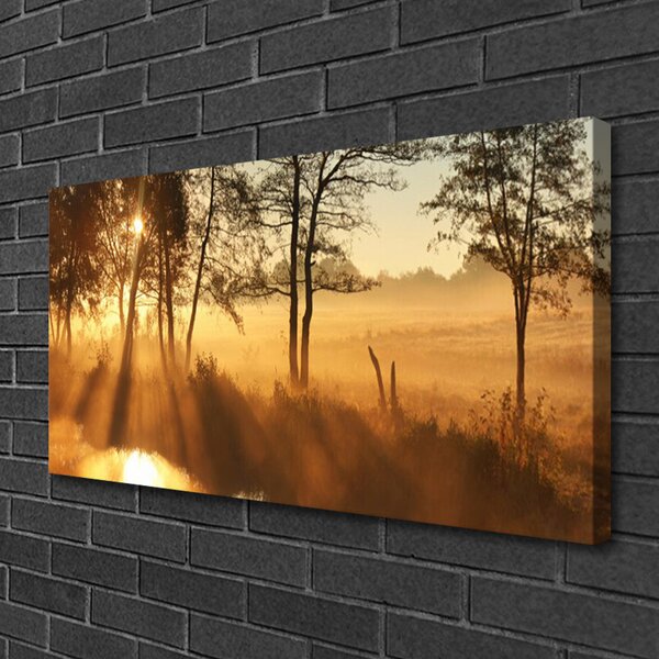 Quadro su tela Alberi della natura 100x50 cm