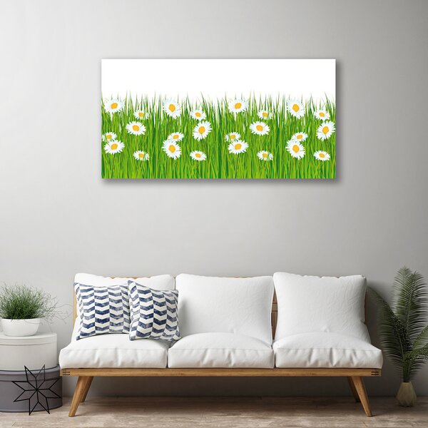 Quadro su tela Erba, margherite, natura 100x50 cm