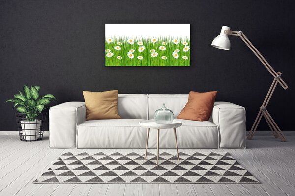 Quadro su tela Erba, margherite, natura 100x50 cm