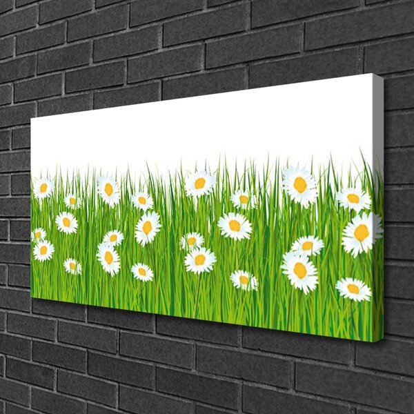 Quadro su tela Erba, margherite, natura 100x50 cm