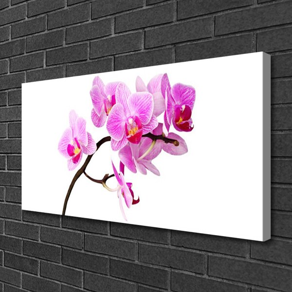 Quadro su tela Fiori, piante, natura 100x50 cm