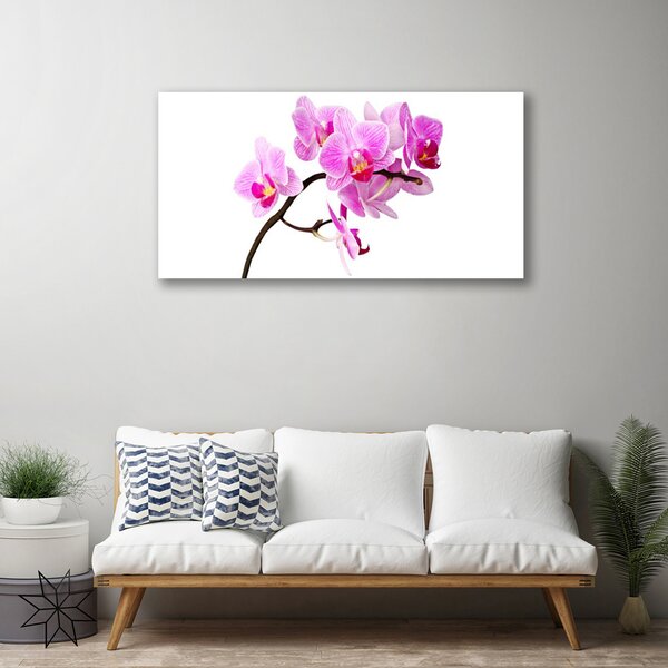Quadro su tela Fiori, piante, natura 100x50 cm