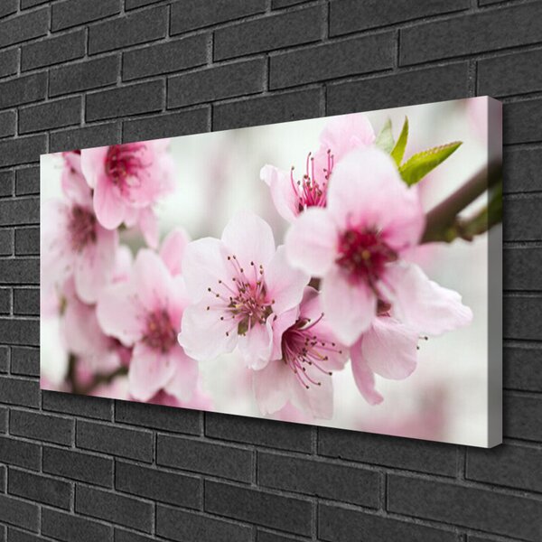 Stampa quadro su tela Fiori, piante, natura 100x50 cm