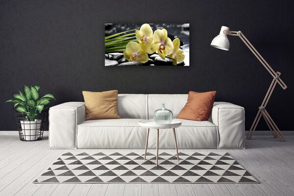 Quadro su tela Fiori, piante, natura 100x50 cm