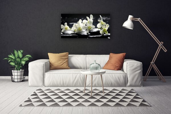 Foto quadro su tela Pianta di pietre di fiori 100x50 cm