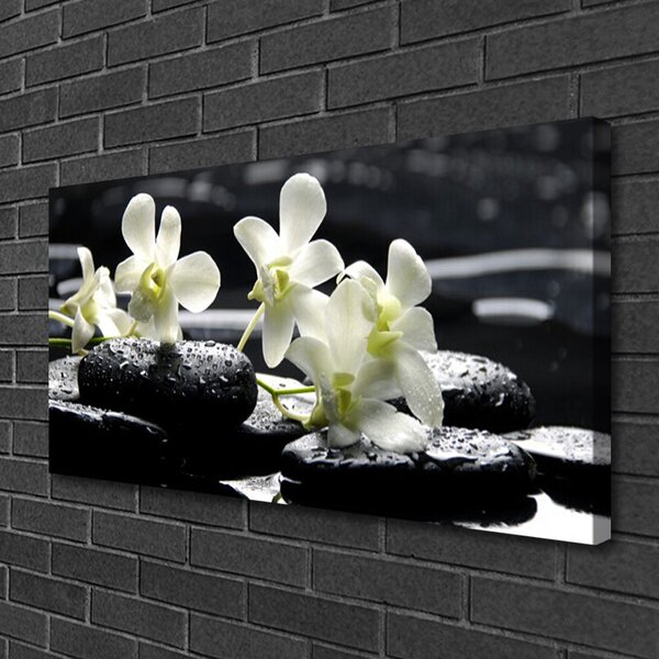 Foto quadro su tela Pianta di pietre di orchidea 100x50 cm