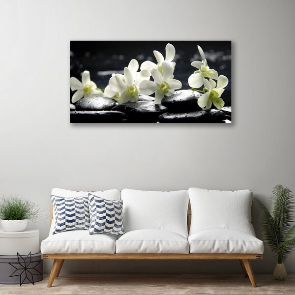 Foto quadro su tela Pianta di pietre di fiori 100x50 cm