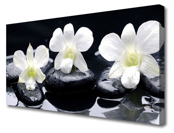 Quadro su tela Pianta di pietre di orchidea 100x50 cm