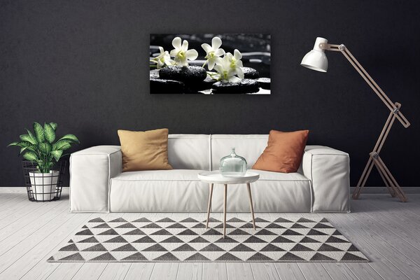 Foto quadro su tela Pianta di pietre di orchidea 100x50 cm