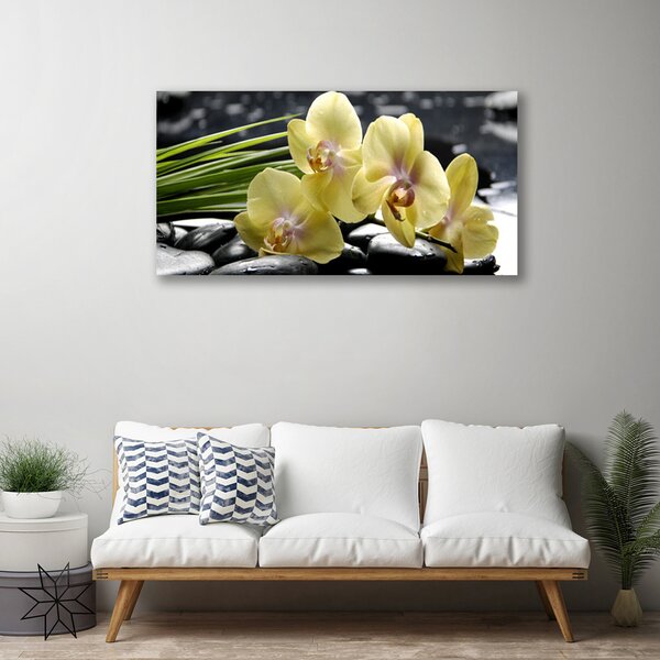 Quadro su tela Fiori, piante, natura 100x50 cm