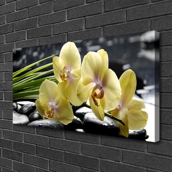 Quadro su tela Fiori, piante, natura 100x50 cm