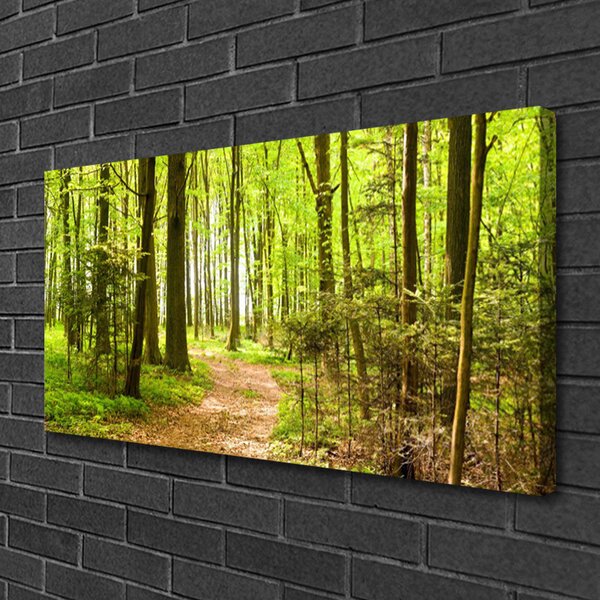 Stampa quadro su tela Foresta del percorso della natura 100x50 cm