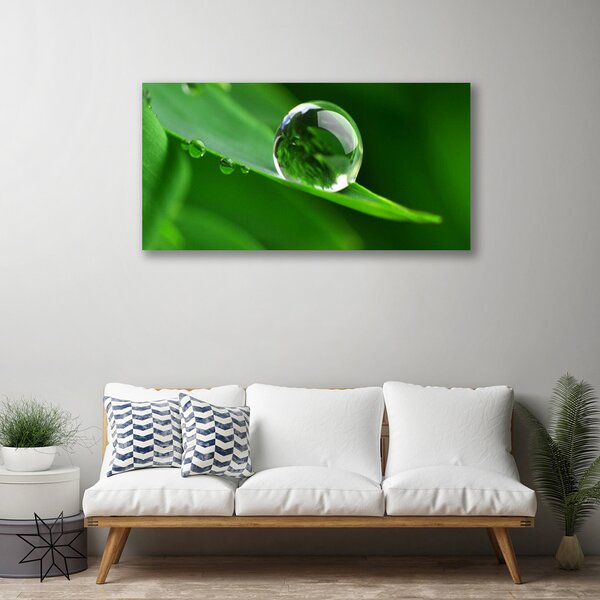 Quadro su tela Foglia, acqua, gocce 100x50 cm