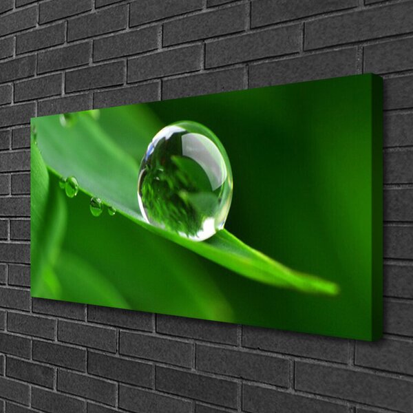 Quadro su tela Foglia, acqua, gocce 100x50 cm