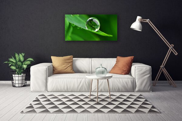 Quadro su tela Foglia, acqua, gocce 100x50 cm