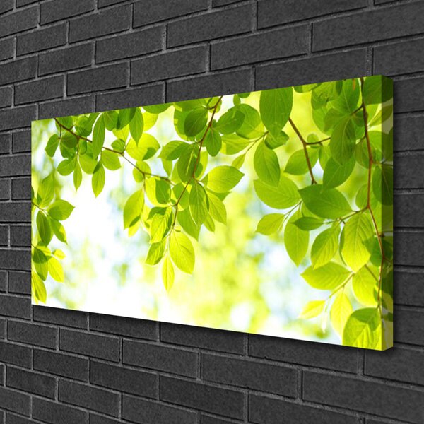 Quadro su tela Foglie di piante naturali 100x50 cm
