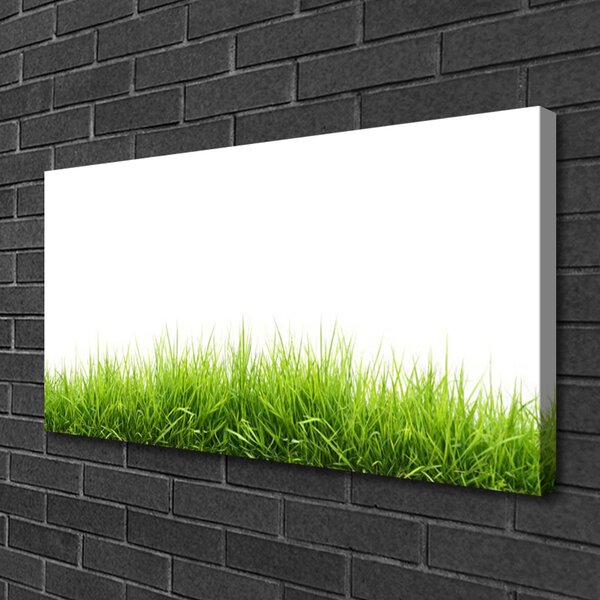 Quadro su tela Erba Natura Pianta 100x50 cm