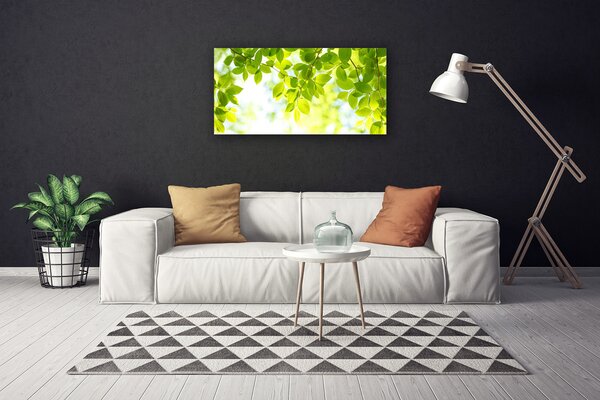 Quadro su tela Foglie di piante naturali 100x50 cm