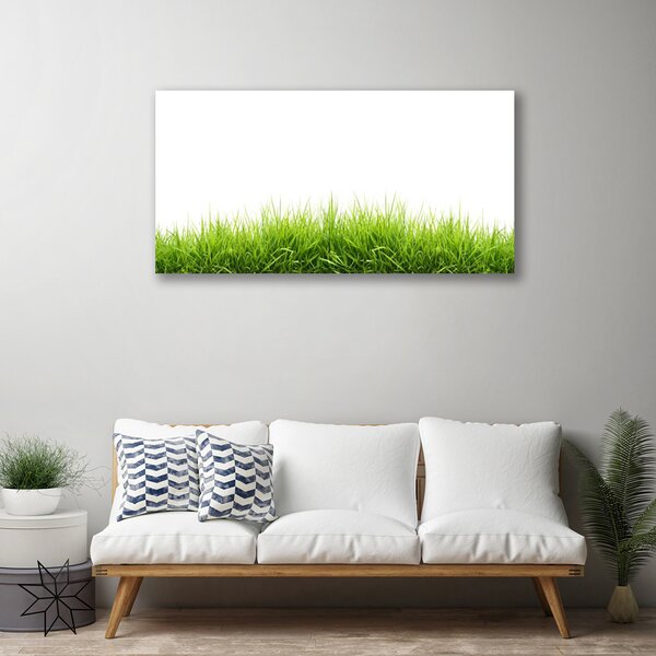 Quadro su tela Erba Natura Pianta 100x50 cm