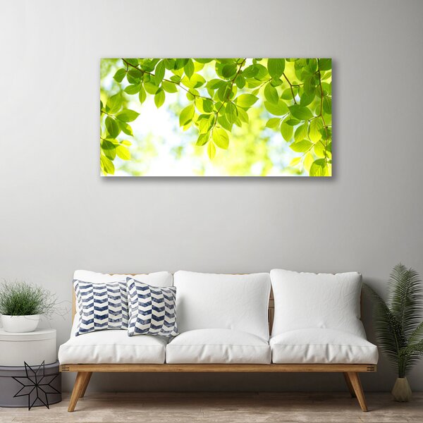 Quadro su tela Foglie di piante naturali 100x50 cm